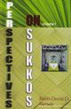 Perspectives On Sukkos Volume 3